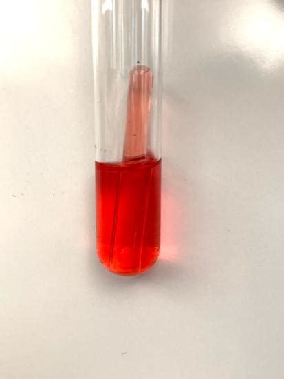 1.22: Fermentation .